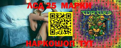 сатива Новозыбков