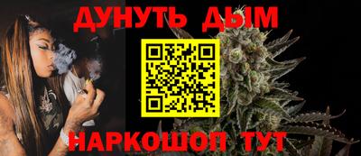сатива Новозыбков