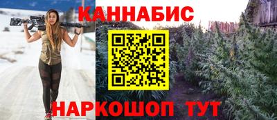 сатива Новозыбков